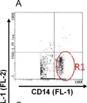 Fig.2.A showing Flow cytometry/Cell sorting from the publication: Base-modified UDP-sugars reduce cell surface levels of P-selectin glycoprotein 1 (PSGL-1) on IL-1β-stimulated human monocytes.