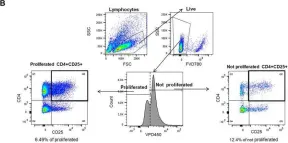 Fig.4.B showing Flow cytometry/Cell sorting from the publication: Human Adipose Tissue-Derived Mesenchymal Stromal Cells Inhibit CD4+ T Cell Proliferation and Induce Regulatory T Cells as Well as CD127 Expression on CD4+CD25+ T Cells.