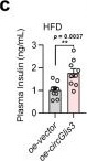 Fig.4.C showing Enzyme-linked immunosorbent assay from the publication: Circular RNA circGlis3 protects against islet β-cell dysfunction and apoptosis in obesity.