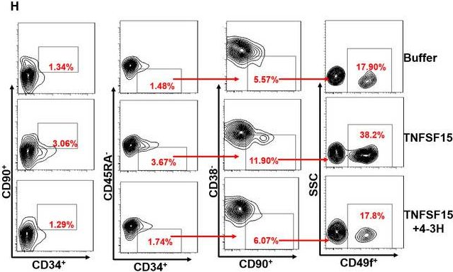 Fig.1.H showing Flow cytometry/Cell sorting in a Homo sapiens (Human) sample from the publication: TNFSF15 facilitates human umbilical cord blood haematopoietic stem cell expansion by activating Notch signal pathway.