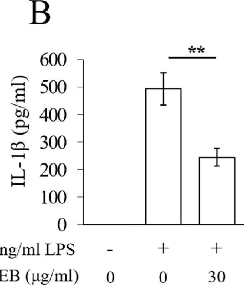 Fig.4.B showing Enzyme-linked immunosorbent assay from the publication: Bark Extracts of Chamaecyparis obtusa (Siebold &amp; Zucc.) Endl. Attenuate LPS-Induced Inflammatory Responses in RAW264.7 Macrophages.