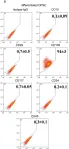 Fig.4.B showing Flow cytometry/Cell sorting in a Homo sapiens (Human) sample from the publication: Dental pulp stem cells differentiation reveals new insights in Oct4A dynamics.