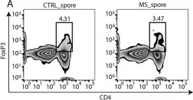 Fig.2.A showing Flow cytometry/Cell sorting in a Homo sapiens (Human) sample from the publication: Multiple Sclerosis-Associated Changes in the Composition and Immune Functions of Spore-Forming Bacteria.