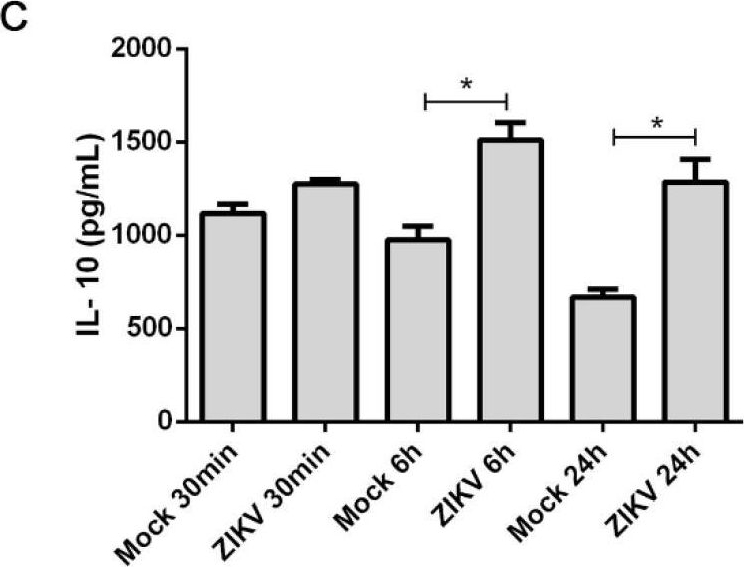 Fig.4.C showing Enzyme-linked immunosorbent assay from the publication: Zika Virus Infects Human Placental Mast Cells and the HMC-1 Cell Line, and Triggers Degranulation, Cytokine Release and Ultrastructural Changes.