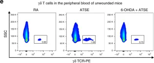 Fig.2.E showing Flow cytometry/Cell sorting in a Mus musculus (House mouse) sample from the publication: Acute tobacco smoke exposure exacerbates the inflammatory response to corneal wounds in mice via the sympathetic nervous system.
