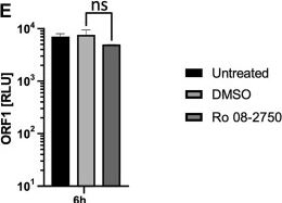 Fig.3.E from the publication: A novel interaction between the 5' untranslated region of the Chikungunya virus genome and Musashi RNA binding protein is essential for efficient virus genome replication.