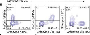 Fig.5.E showing Flow cytometry/Cell sorting in a Homo sapiens (Human) sample from the publication: Single-cell profiling of healthy human kidney reveals features of sex-based transcriptional programs and tissue-specific immunity.