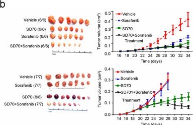 Fig.7.B from the publication: GASC1 promotes hepatocellular carcinoma progression by inhibiting the degradation of ROCK2.
