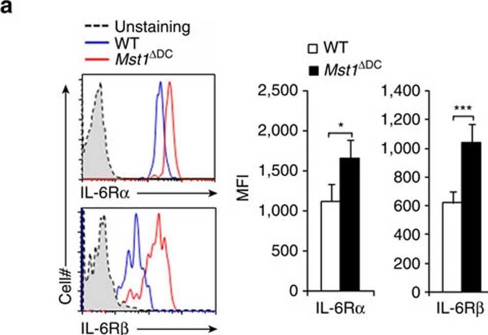 Fig.7.A showing Flow cytometry/Cell sorting from the publication: Dendritic cell MST1 inhibits Th17 differentiation.