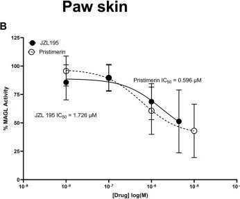 Fig.4.B from the publication: Pristimerin, a triterpene that inhibits monoacylglycerol lipase activity, prevents the development of paclitaxel-induced allodynia in mice.