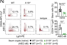 Fig.7.C showing Flow cytometry/Cell sorting in a Mus musculus (House mouse) sample from the publication: IL-22 initiates an IL-18-dependent epithelial response circuit to enforce intestinal host defence.