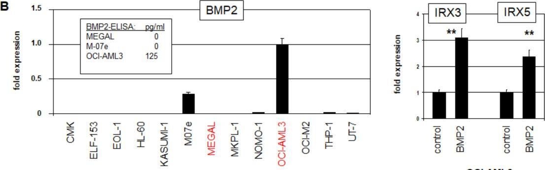Fig.5.B showing Flow cytometry/Cell sorting in a Homo sapiens (Human) sample from the publication: The Hematopoietic TALE-Code Shows Normal Activity of IRX1 in Myeloid Progenitors and Reveals Ectopic Expression of IRX3 and IRX5 in Acute Myeloid Leukemia.