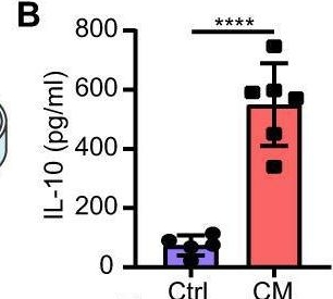 Fig.4.B showing Enzyme-linked immunosorbent assay from the publication: Organoids transplantation attenuates intestinal ischemia/reperfusion injury in mice through L-Malic acid-mediated M2 macrophage polarization.