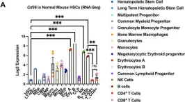 Fig.1.A showing Flow cytometry/Cell sorting from the publication: Deletion of CD36 exhibits limited impact on normal hematopoiesis and the leukemia microenvironment.