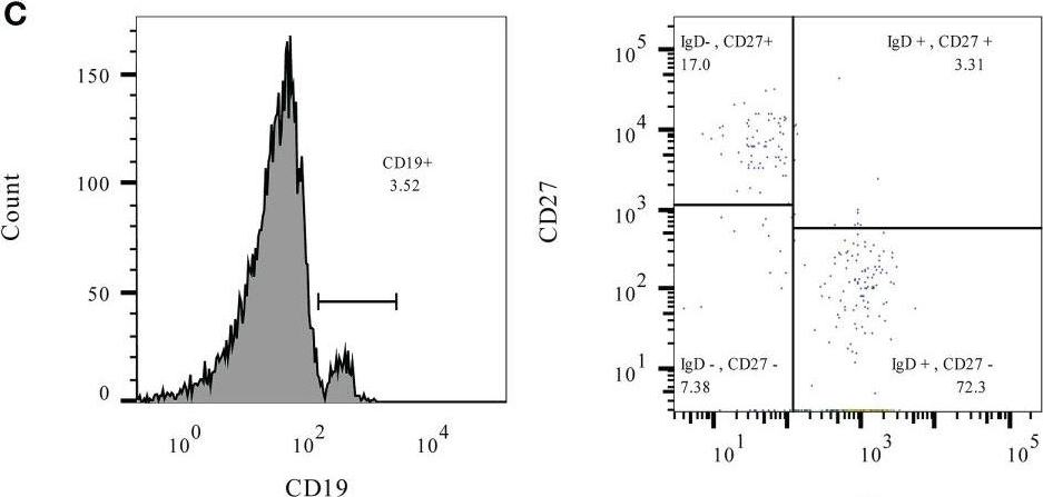 Fig.2.C showing Flow cytometry/Cell sorting from the publication: Optimal time for COVID-19 vaccination in rituximab-treated dermatologic patients.