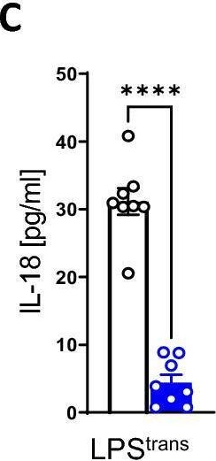 Fig.5.C showing Enzyme-linked immunosorbent assay from the publication: Plexin C1 influences immune response to intracellular LPS and survival in murine sepsis.