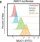 Fig.5.E showing Flow cytometry/Cell sorting from the publication: The surfaceome of multiple myeloma cells suggests potential immunotherapeutic strategies and protein markers of drug resistance.