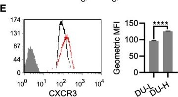 Fig.2.E showing Flow cytometry/Cell sorting from the publication: Expression of E-cadherin and specific CXCR3 isoforms impact each other in prostate cancer.