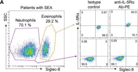 Fig.4.A showing Flow cytometry/Cell sorting in a Homo sapiens (Human) sample from the publication: Engineering of Humanized Antibodies Against Human Interleukin 5 Receptor Alpha Subunit That Cause Potent Antibody-Dependent Cell-Mediated Cytotoxicity.