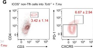 Fig.2.G showing Flow cytometry/Cell sorting in a Mus musculus (House mouse) sample from the publication: The protozoan commensal Tritrichomonas musculis is a natural adjuvant for mucosal IgA.