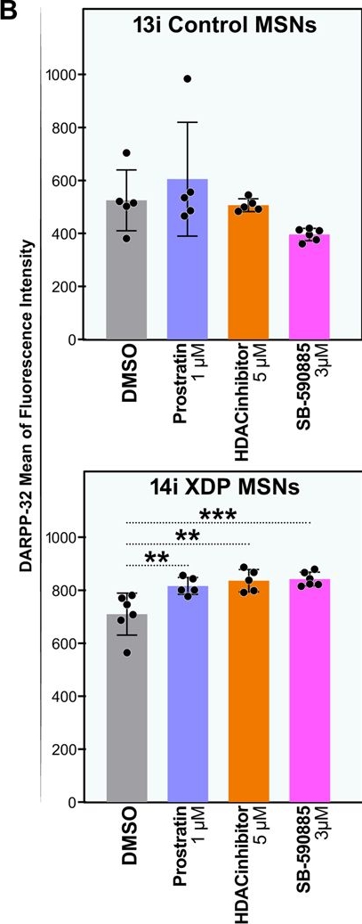 Fig.10.B from the publication: Proteomic analysis of X-linked dystonia parkinsonism disease striatal neurons reveals altered RNA metabolism and splicing.