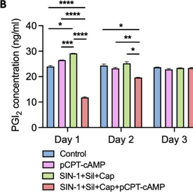 Fig.5.B from the publication: Combined Pharmacological Conditioning of Endothelial Cells for Improved Vascular Graft Endothelialization.