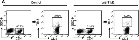 Fig.6.A showing Flow cytometry/Cell sorting from the publication: T-cell immunoglobulin mucin 3 blockade drives an antitumor immune response in head and neck cancer.