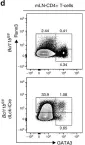 Fig.7.D showing Flow cytometry/Cell sorting in a Mus musculus (House mouse) sample from the publication: Bcl11b is essential for licensing Th2 differentiation during helminth infection and allergic asthma.