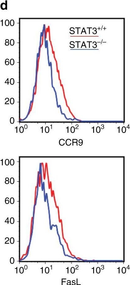 Fig.8.D showing Flow cytometry/Cell sorting in a Mus musculus (House mouse) sample from the publication: Extrafollicular CD4+ T-B interactions are sufficient for inducing autoimmune-like chronic graft-versus-host disease.