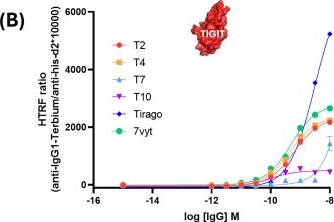 Fig.2.B from the publication: AI-enhanced profiling of phage-display-identified anti-TIM3 and anti-TIGIT novel antibodies.