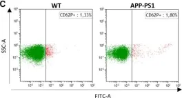 Fig.2.C showing Flow cytometry/Cell sorting in a Mus musculus (House mouse) sample from the publication: Platelets in Amyloidogenic Mice Are Activated and Invade the Brain.