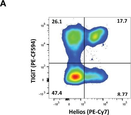 Fig.1.A showing Flow cytometry/Cell sorting in a Homo sapiens (Human) sample from the publication: Co-Expression of TIGIT and Helios Marks Immunosenescent CD8+ T Cells During Aging.