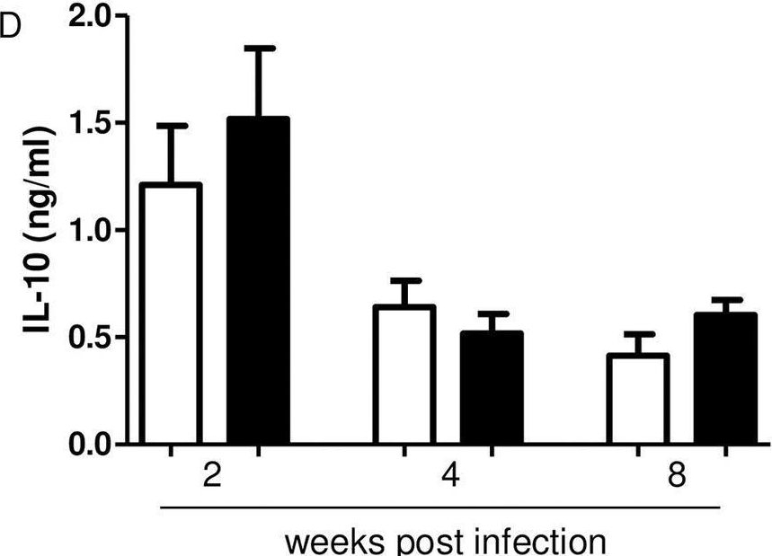 Fig.4.D showing Enzyme-linked immunosorbent assay from the publication: Obesity impairs resistance to Leishmania major infection in C57BL/6 mice.