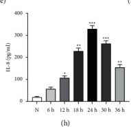 Fig.1.E showing Enzyme-linked immunosorbent assay from the publication: Polyphyllin I Inhibits Propionibacterium acnes-Induced IL-8 Secretion in HaCaT Cells by Downregulating the CD36/NOX1/ROS/NLRP3/IL-1β Pathway.