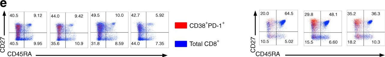 Fig.2.E showing Flow cytometry/Cell sorting in a Homo sapiens (Human) sample from the publication: Clonally diverse CD38+HLA-DR+CD8+ T cells persist during fatal H7N9 disease.