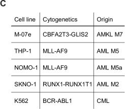 Fig.1.C from the publication: Lineage-restricted dependency on an oncofetal SNHG29-IGF2BP1 RNA axis in acute megakaryoblastic leukemia.