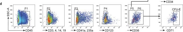 Fig.3.D showing Flow cytometry/Cell sorting from the publication: Erythroid-intrinsic activation of TLR8 impairs erythropoiesis in inherited anemia.