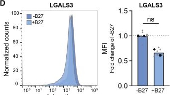 Fig.6.D showing Flow cytometry/Cell sorting from the publication: Comparative lipidomics of iPSC-derived microglia protocols reveal lipid droplet and immune differences mediated by media composition.