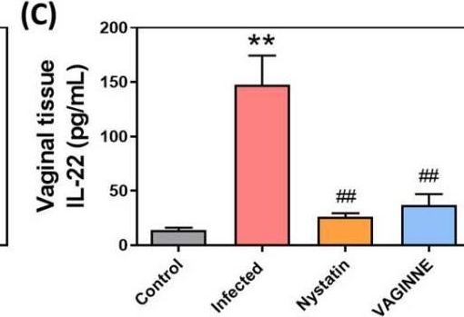 Fig.5.C showing Enzyme-linked immunosorbent assay from the publication: Dual Mechanisms of Action: Anti-Candida and Anti-Inflammatory Potential of Lactobacillus Fermentation Broth in Treating Vulvovaginal Candidiasis.
