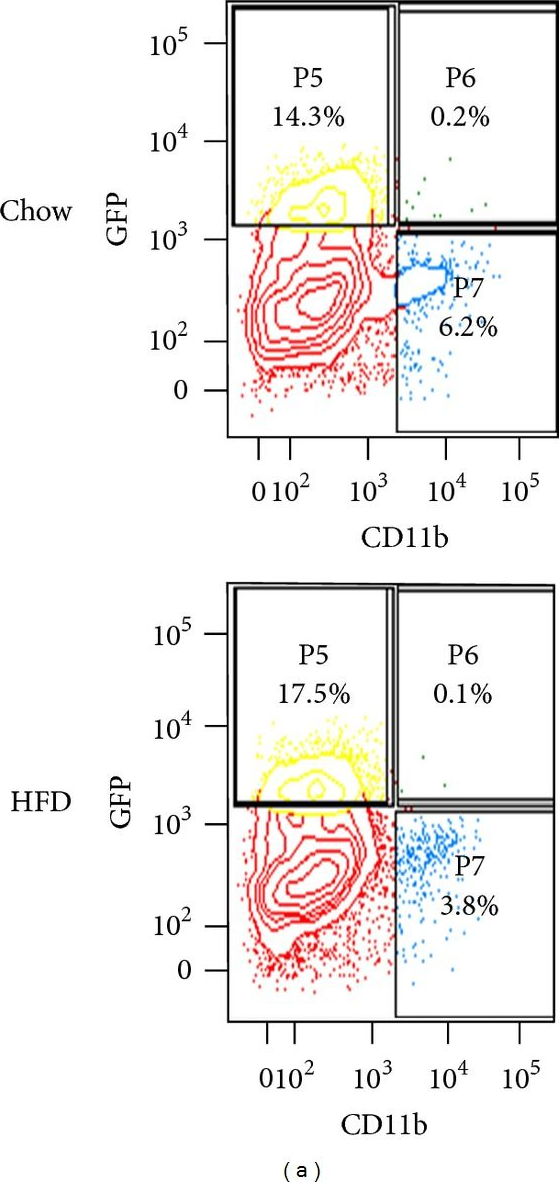 Fig.5.A showing Flow cytometry/Cell sorting in a Mus musculus (House mouse) sample from the publication: Mouse models and techniques for the isolation of the diabetic endothelium.
