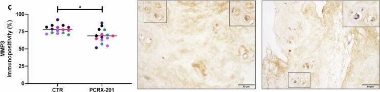 Fig.7.C showing Immunohistochemistry in a Homo sapiens (Human) sample from the publication: PCRX-201, a novel IL-1Ra gene therapy treatment approach for low back pain resulting from intervertebral disc degeneration.