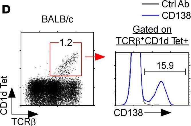 Fig.1.D showing Flow cytometry/Cell sorting from the publication: CD138 expression is a molecular signature but not a developmental requirement for RORγt+ NKT17 cells.