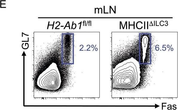 Fig.2.E showing Flow cytometry/Cell sorting in a Mus musculus (House mouse) sample from the publication: Antigen-presenting ILC3 regulate T cell-dependent IgA responses to colonic mucosal bacteria.