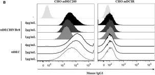 Fig.1.B showing Flow cytometry/Cell sorting from the publication: Dendritic Cell Targeting Effectively Boosts T Cell Responses Elicited by an HIV Multiepitope DNA Vaccine.