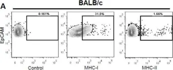 Fig.3.A showing Flow cytometry/Cell sorting in a Mus musculus (House mouse) sample from the publication: Molecular Characterization of Gastric Epithelial Cells Using Flow Cytometry.