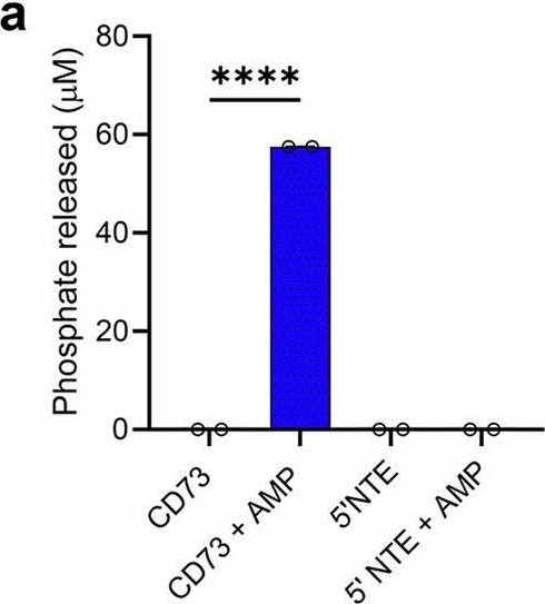 Fig.2.A from the publication: Mosquito salivary apyrase regulates blood meal hemostasis and facilitates malaria parasite transmission.
