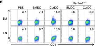 Fig.7.D showing Flow cytometry/Cell sorting in a Mus musculus (House mouse) sample from the publication: Dectin-1-activated dendritic cells trigger potent antitumour immunity through the induction of Th9 cells.