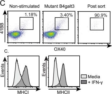 Fig.6.C showing Flow cytometry/Cell sorting in a Mus musculus (House mouse) sample from the publication: Low Mutation Burden in Ovarian Cancer May Limit the Utility of Neoantigen-Targeted Vaccines.