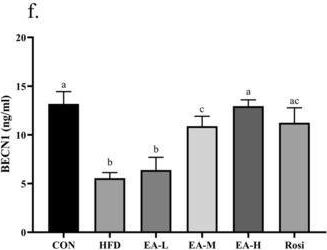 Fig.5.F showing Enzyme-linked immunosorbent assay from the publication: Ellagic Acid Modulates Necroptosis, Autophagy, Inflammations, and Stress to Ameliorate Nonalcoholic Liver Fatty Disease in a Rat Model.