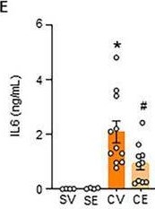 Fig.6.E showing Enzyme-linked immunosorbent assay from the publication: Critical Role of IL1R2-ENO1 Interaction in Inhibiting Glycolysis-Mediated Pyroptosis for Protection Against Lethal Sepsis.